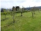 Mole Creek TAS 7304