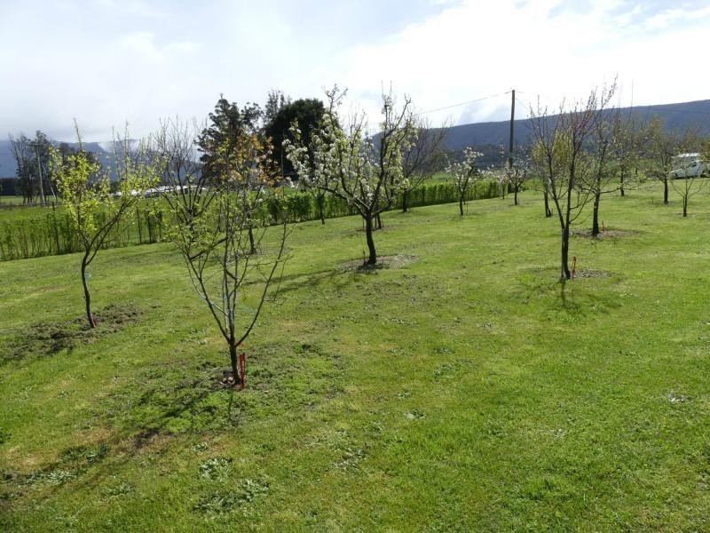 Mole Creek TAS 7304