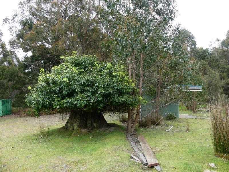 202 Mersey Hill Road, Mole Creek TAS 7304