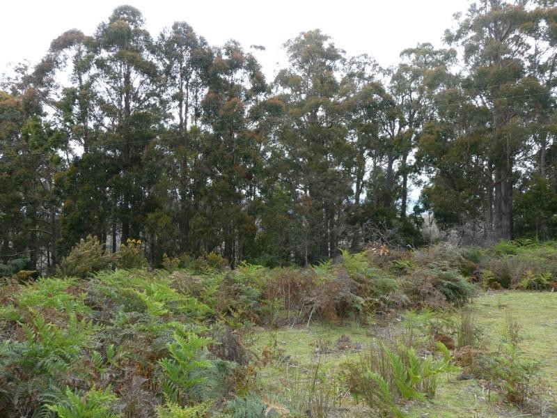 202 Mersey Hill Road, Mole Creek TAS 7304