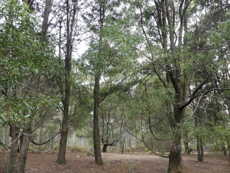 202 Mersey Hill Road, Mole Creek TAS 7304