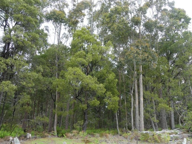 202 Mersey Hill Road, Mole Creek TAS 7304