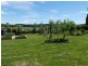 34a Grigg Street, Deloraine TAS 7304