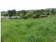 L5 Morrison Street, Deloraine TAS 7304