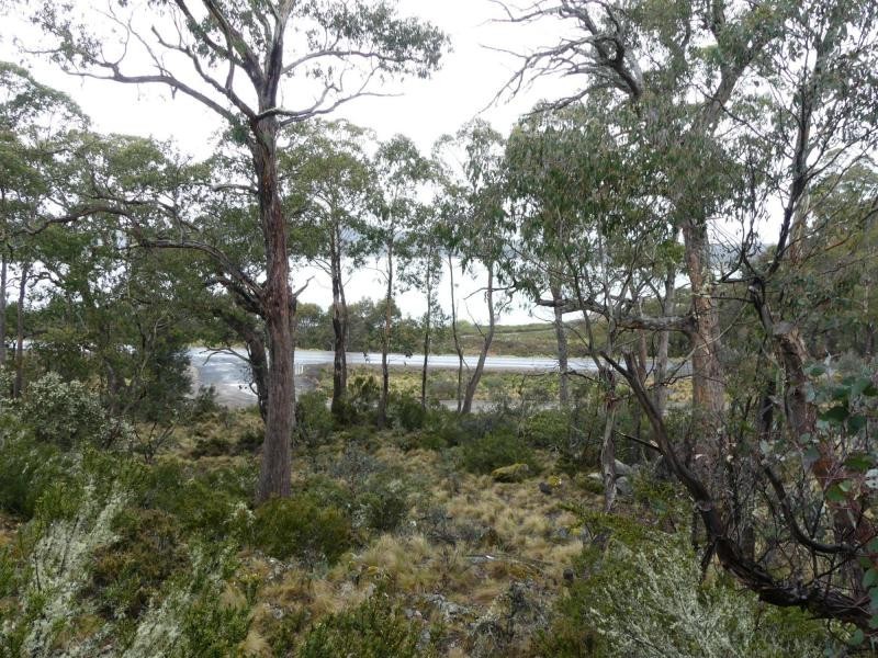 2 Breona Rise, Breona TAS 7304