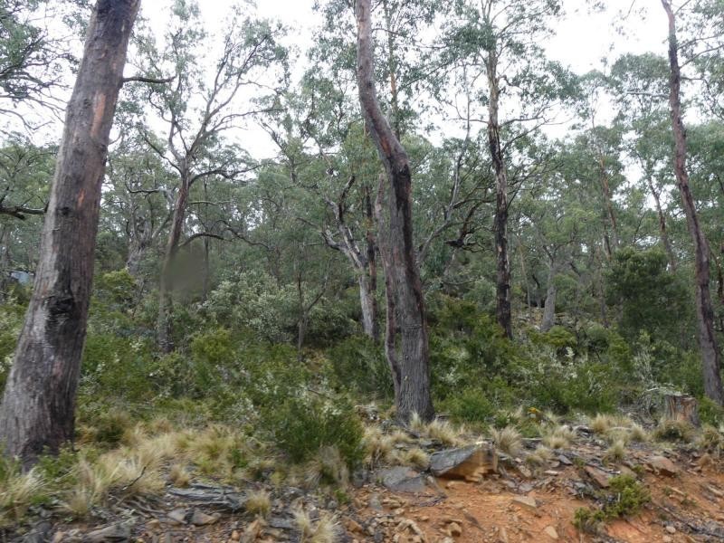 2 Breona Rise, Breona TAS 7304