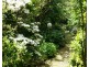 739 Quamby Brook Road, Quamby Brook TAS 7304