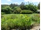 739 Quamby Brook Road, Quamby Brook TAS 7304