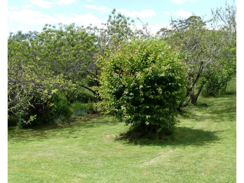 739 Quamby Brook Road, Quamby Brook TAS 7304