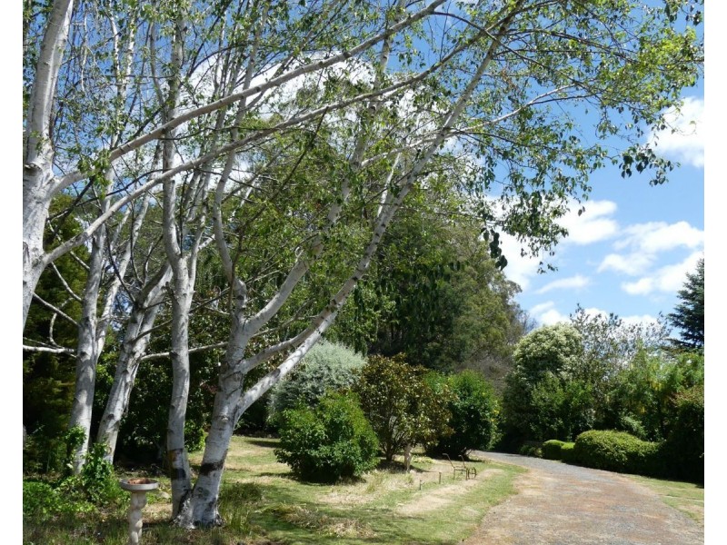 739 Quamby Brook Road, Quamby Brook TAS 7304