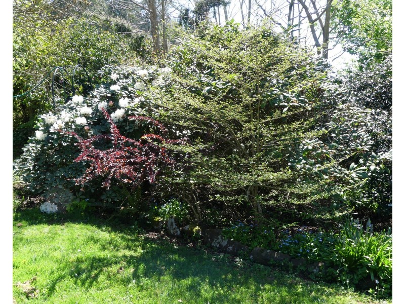 739 Quamby Brook Road, Quamby Brook TAS 7304