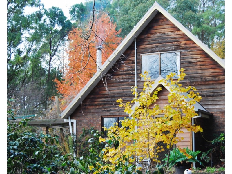 5988 Bass Highway, Elizabeth Town TAS 7304