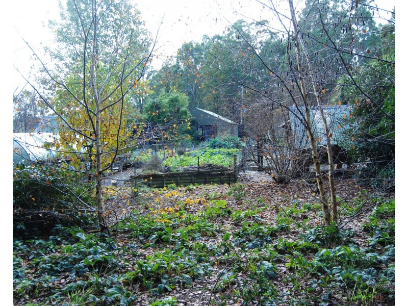 5988 Bass Highway, Elizabeth Town TAS 7304