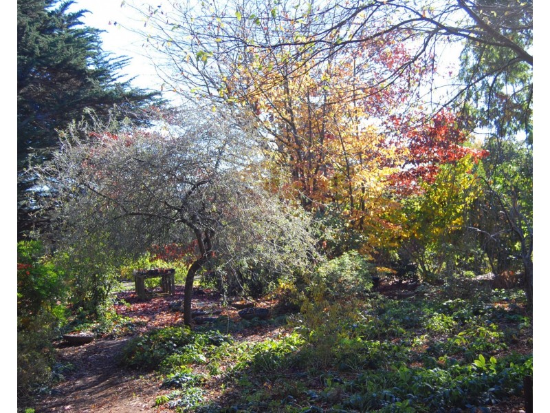 5988 Bass Highway, Elizabeth Town TAS 7304