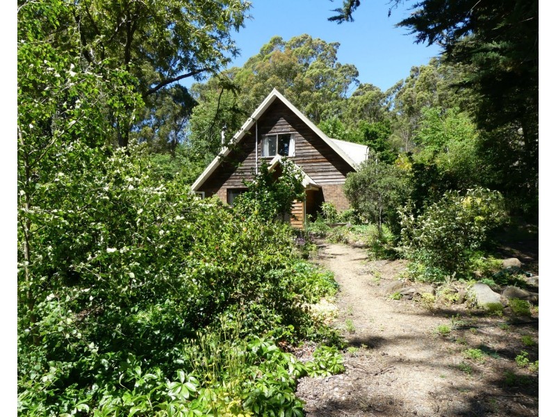 5988 Bass Highway, Elizabeth Town TAS 7304