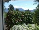 19 Union Bridge Road, Mole Creek TAS 7304