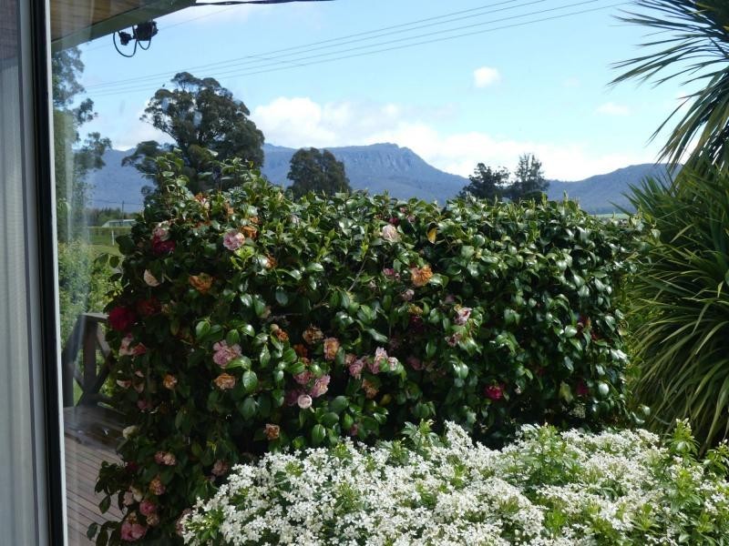 19 Union Bridge Road, Mole Creek TAS 7304