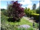 19 Union Bridge Road, Mole Creek TAS 7304
