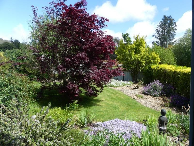 19 Union Bridge Road, Mole Creek TAS 7304