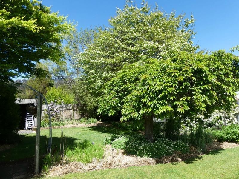 19 Union Bridge Road, Mole Creek TAS 7304