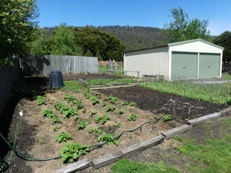 19 Union Bridge Road, Mole Creek TAS 7304