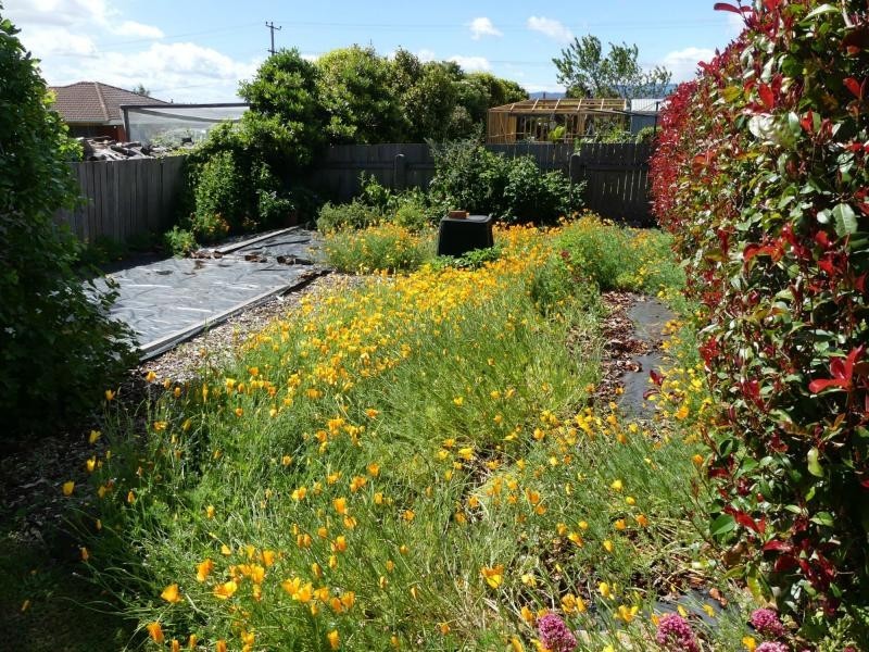 69 West Goderich Street, Deloraine TAS 7304