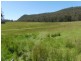 L1 Mole Creek Road, Needles TAS 7304