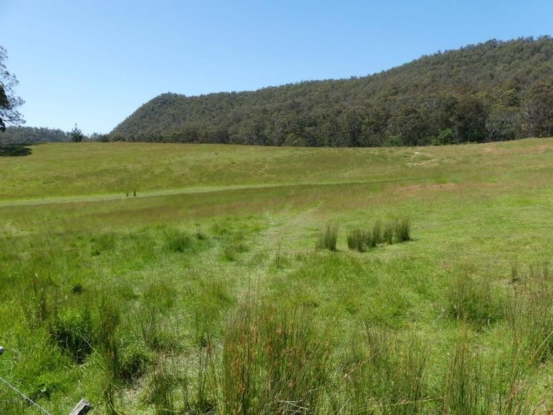L1 Mole Creek Road, Needles TAS 7304