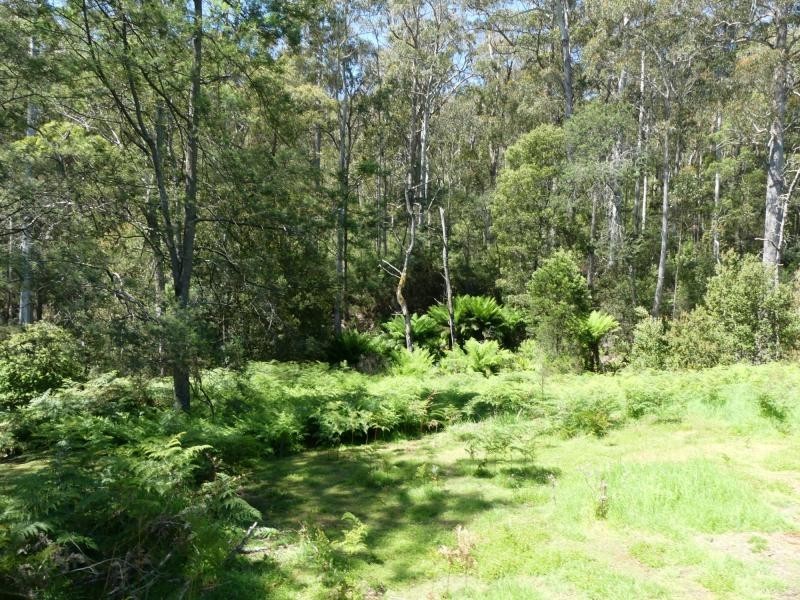 L1 Mole Creek Road, Needles TAS 7304