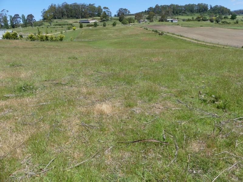 L1 Mole Creek Road, Needles TAS 7304