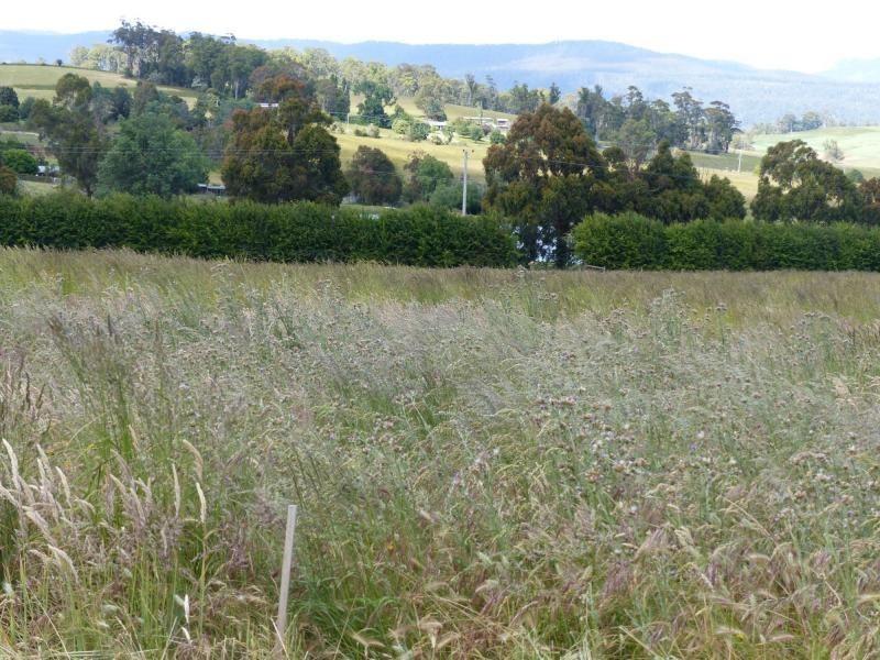 8 Reid Street, Westbury TAS 7303