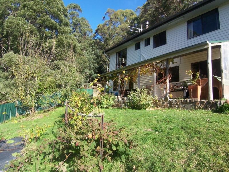 13185 Highland Lakes Road, Golden Valley TAS 7304