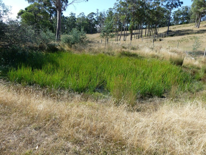 Lot 1 Davis Road, Deloraine TAS 7304