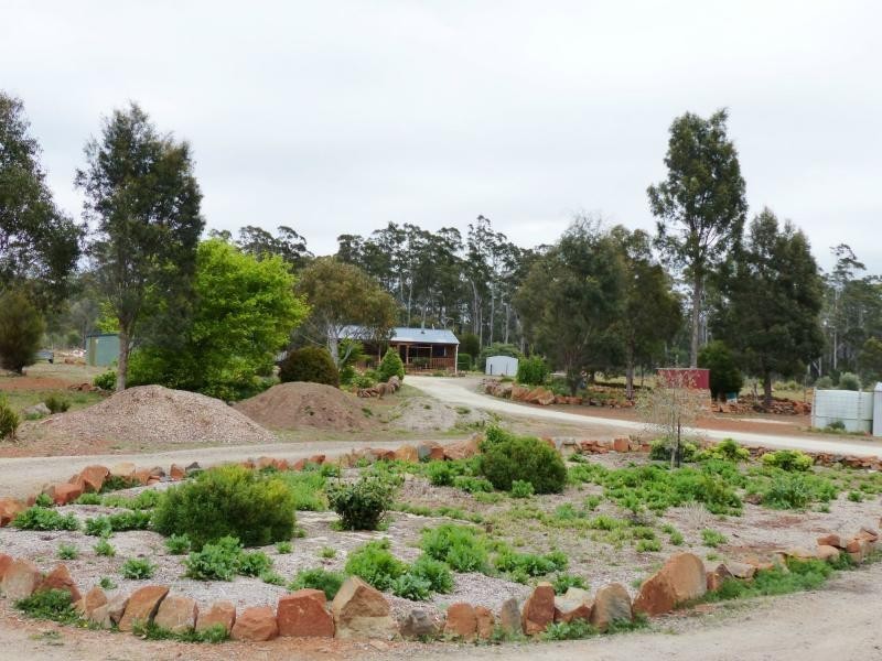 Reedy Marsh TAS 7304