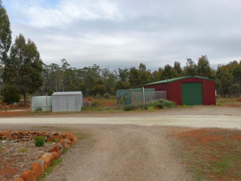 Reedy Marsh TAS 7304