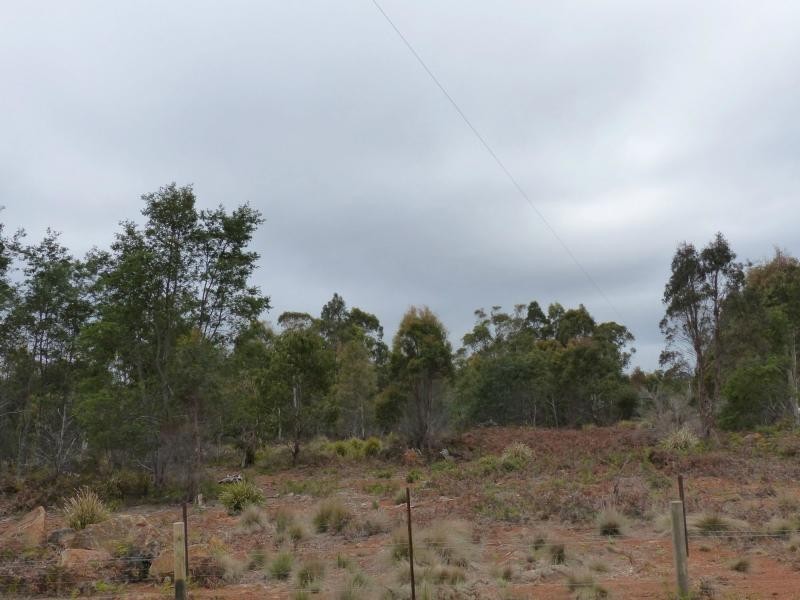 Reedy Marsh TAS 7304