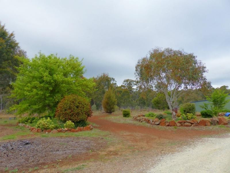 Reedy Marsh TAS 7304