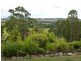 14 Barra Road, Deloraine TAS 7304