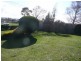 38 Pultney Street, Deloraine TAS 7304