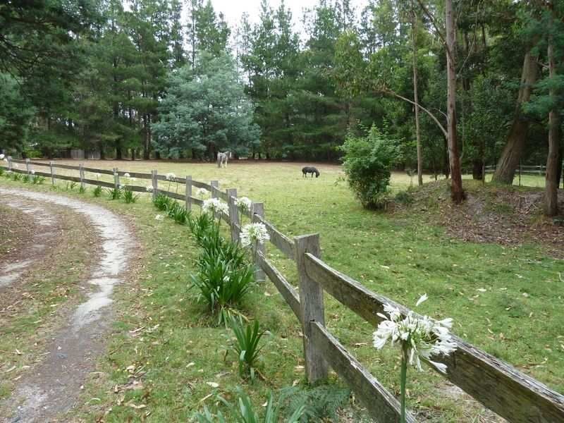 13504 HIghLand Lakes Road, Golden Valley TAS 7304