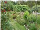 13504 HIghLand Lakes Road, Golden Valley TAS 7304