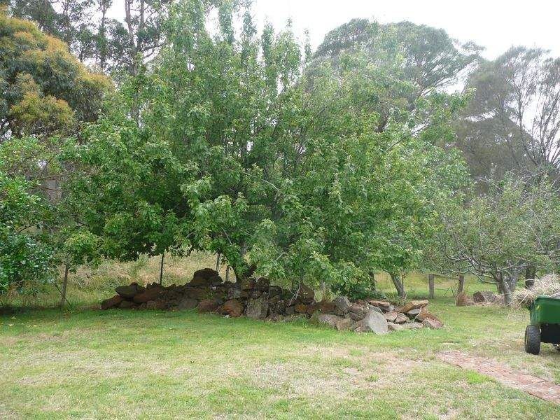 40 Bonney Street, Elizabeth Town TAS 7304