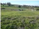 Lot 16 Marlendy Heights, Deloraine TAS 7304