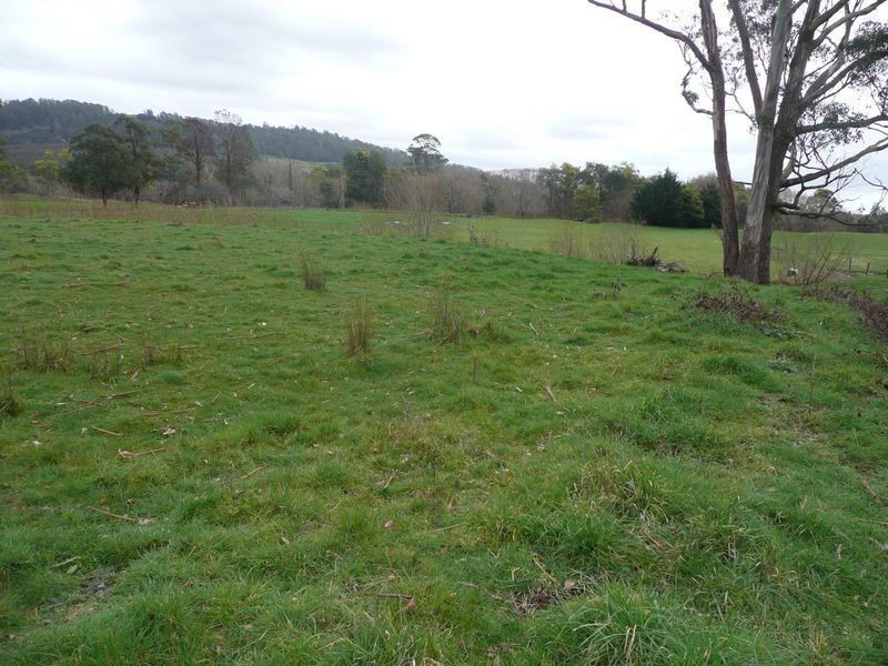 L1/ 119 Morrison Street, Kimberley TAS 7304