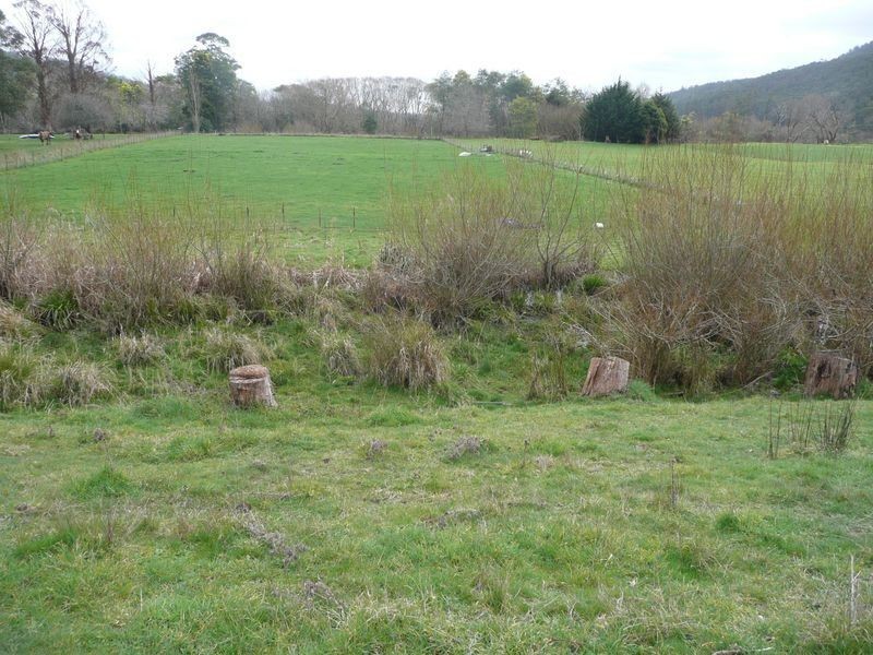 L1/ 119 Morrison Street, Kimberley TAS 7304