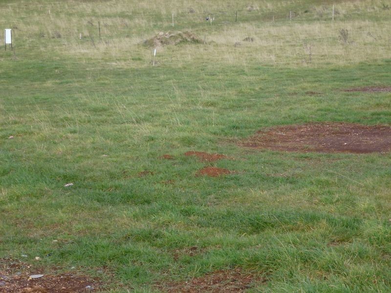 Lot 5 Marlendy Heights, Deloraine TAS 7304