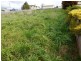 75 East Barrack Street, Deloraine TAS 7304