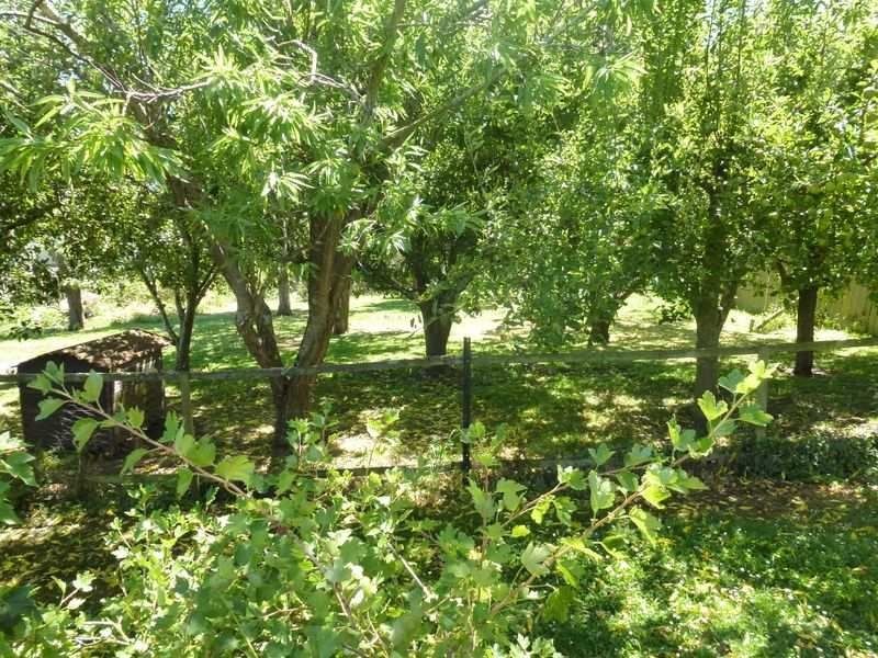 Lot 3, 35 Adelaide Street, Westbury TAS 7303