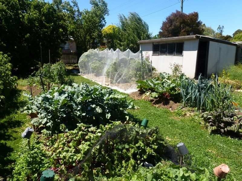 Lot 3, 35 Adelaide Street, Westbury TAS 7303