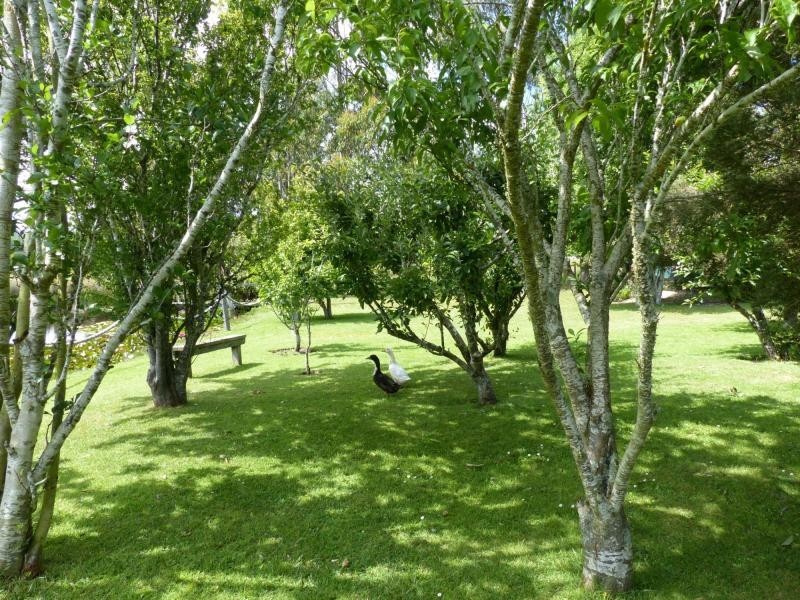 1 Burnett Street, Chudleigh TAS 7304